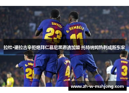 拉杜·德拉古辛拒绝拜仁慕尼黑邀请加盟 托特纳姆热刺成新东家 拉杜·德拉古辛拒绝拜仁慕尼黑邀请加盟 托特纳姆热刺成新东家